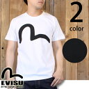 エヴィスジーンズ EVISU カモメ ペイント 半袖 Tシャツ ETC-0658KV