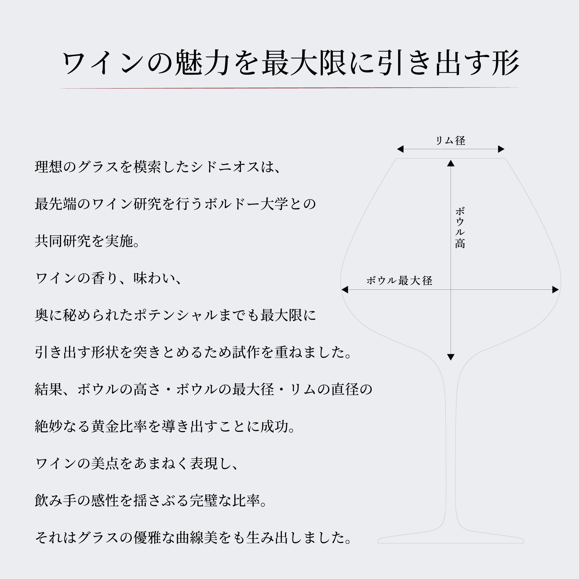 【シドニオス】 グラス ラシーヌ レステット 2脚入り 専用箱付 ワイングラス キッ...