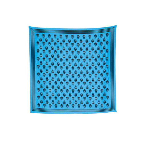 アレキサンダー・マックイーン Alexander McQUEEN Scarfs Blue ウィメンズ アクセサリー スカーフ・マフラー Blue U ONESIZE 女性 5909293001Q4660 【送料無料・関税込】 アレキサンダー・マックイーン Alexander McQUEEN Scarfs Blue ウィメンズ アクセサリー スカーフ・マフラー Blue U ONESIZE 女性 5909293001Q4660 【送料無料・関税込】