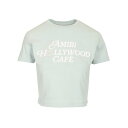 AMIRI アミリ レディース Tシャツ・カットソー AWJYTE1052MIST