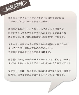 送料無料【ゆうパケット】バイカラーストール 無地☆01 ストール ショール メンズ メンズストール マフラー メンズマフラー 厚手 大判 大判ストール 秋 冬 秋冬 春 春夏 結婚式 誕生日 大判 厚手 ギフト プレゼント 男性 母の日 入学式 sl30