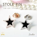 クーポン配布 ラペルピン ビンズ タイプ タックピン ハットピン メンズ レディース ストール留め ストールピン 星 スター キュービック ジルコニア f6 卒園式 入園式 卒業式 入学式 誕生日 プレゼント ギフト 花見 クリスマス『ラッピング対応可』 敬老の日