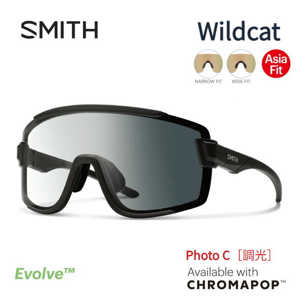 スミス サングラス 調光 smith wildcat Matte Black (CP Photo C to Gray)クロマポップレンズ アジアフィット SMITH 日本正規品【C1】【s1-2】