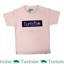 TURTOISE ^[^X@LbY  TVc/ SUN - PINK / 14SSys0z