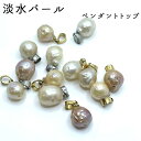 淡水パール ペンダントトップ【pt24】 ステンレス 金属アレルギー 金アレ対応 18Kコーティング パール レディース 女性 大人 かわいい シンプル アクセ ジュエリー ゴールド プチプラ 高見え オケージョン