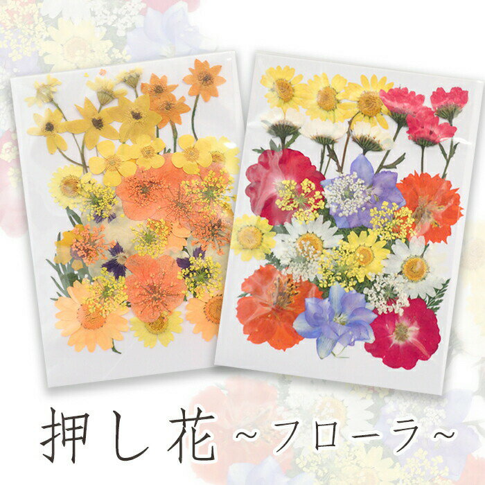 【MAX50%オフ スーパーSALE】デコパーツ【74.押し花 ～フローラ～】 2色 花 ドライフラワー 赤 レッド ..