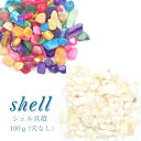 【10%オフ クーポン】 カラフルシェル シェル 【39】 (穴なし) 【100g】 天然素材 海 貝殻 夏パワーストーン さざれ パーツ レジンクラフト ハン...