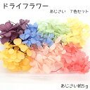 【15%オフクーポン配布中】 【現品限り 特価】デコパーツ【101. ドライフラワー アソートパック 7色あじさい】アジサイ 紫陽花 宅配便のみ 国内発送