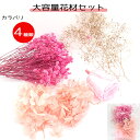 【107. ドライフラワー パック あじさい】 1セット アジサイ 紫陽花 国内発送 宅急便発送