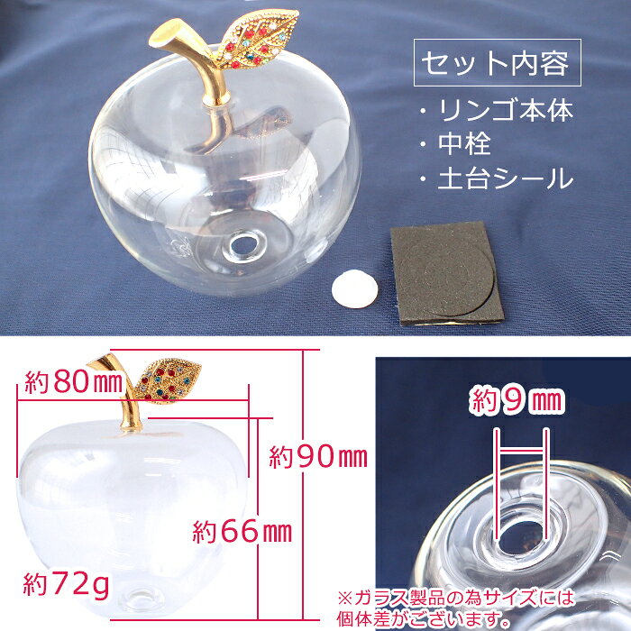 【お買い物マラソン 15%オフクーポン】 ガラスのリンゴ(空) ハーバリウム (箱なし)...