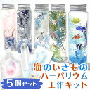 夏休み 工作キット 海の生き物 ハーバリウム ★5種セット★ 説明書付き まとめ売り 海 手作りキット 簡単 夏 工作 キット 女の子 男の子 水族館 熱帯魚 ...