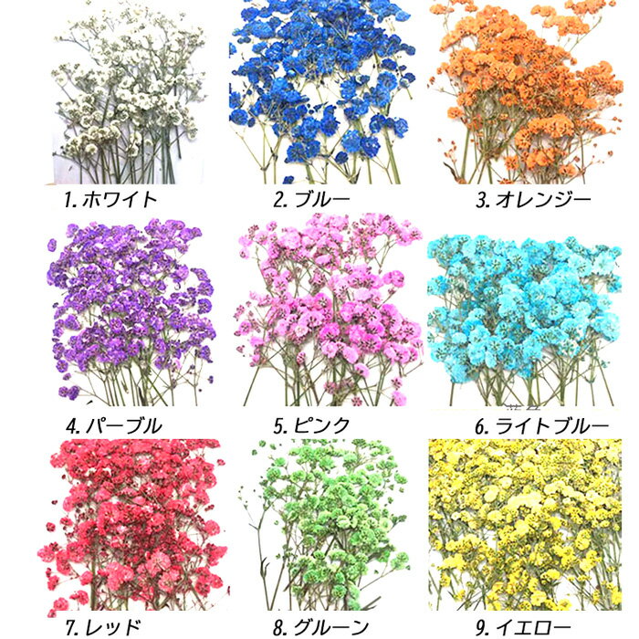 �ں���50%���� �ޥ饽��� �ǥ��ѡ��ġ�91.������ �������� 20������� �ɥ饤�ե� �����ߥ��� ��å� �ԥ� �忧 �֥롼 �� �ѡ��ץ� ����ե� ���å� �������� �쥸�� Ž�골 �ϡ��Хꥦ�� �����ѥå����꡼ �ֺ� ���� �Ǻ�