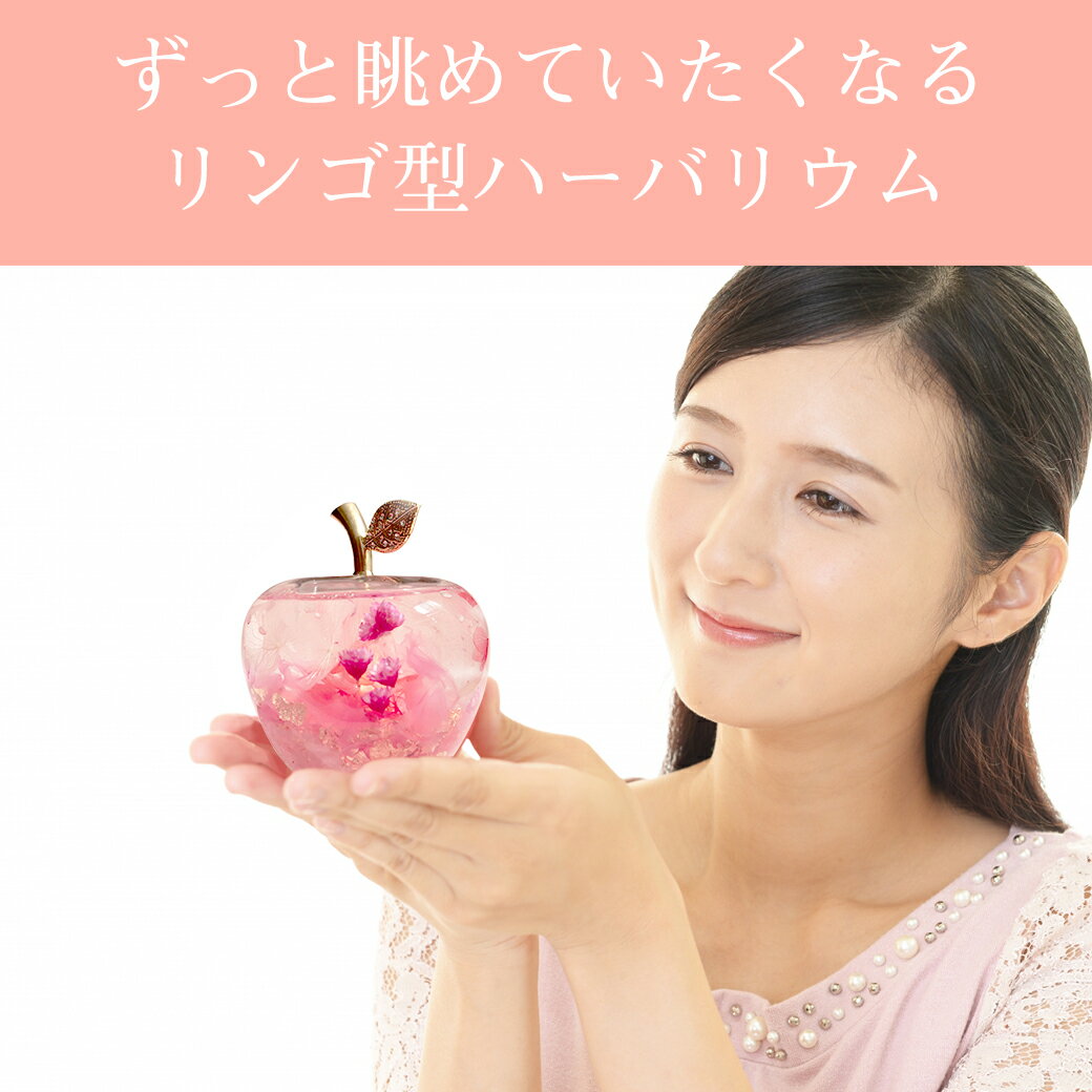 �ں���50%���� �ޥ饽��� ����� 2025 �ϡ��Хꥦ�� ���åץ� ���եȥܥå��� �դ� ��� / ����̵�� ����� 2025 ���ե� ������� ����ƥꥢ ���� ��������ե� �뺧�ˤ� ���ˤ� Ĺ���� �� 40�� 50�� 60��