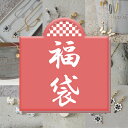 【15%オフクーポン配布中】 【福袋 2025】 ステンレス ネックレス & ピアス デザインコンビセット 【04】 通常価格から40%OFF 全4種類 金属アレルギー対応 レディース アクセサリー ステンレスチェーン 2連チェーン 福袋 年末年始 正月 国内発送(4)