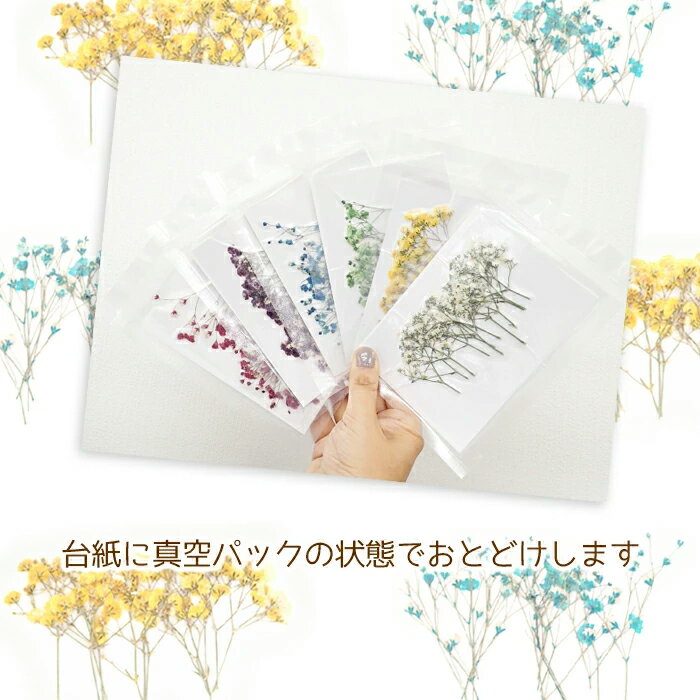 �ں���50%���� �ޥ饽��� �ǥ��ѡ��ġ�70.������ ��������� �ɥ饤�ե� �����ߥ��� ��å� �ԥ� �忧 �֥롼 �� �ѡ��ץ� ����ե� ���å� �������� �쥸�� Ž�골 �ϡ��Хꥦ�� �����ѥå� ���������꡼ �ֺ� ���� �Ǻ�