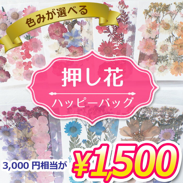 【15%クーポン マラソン】【3000円相当が1500円】 福袋【色みが選べる 押し花 ハッピーバッグ】押し花 ドライフラワー アソート レジン キャンドル 真空パック 花材 材料 素材 国内発送 (セール対象外)