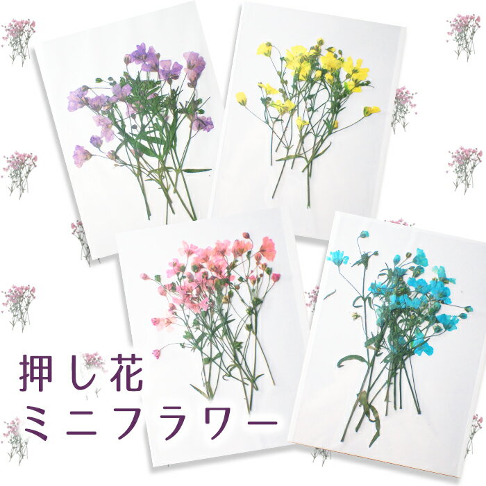 【MAX50%オフ スーパーSALE】デコパーツ【84. 押し花 ミニフラワー】 小さい 押し花 ドライフラワー レジン キャンドル 真空パック 花材 材料 ボタニカルキャンドル アロマワックスバー 素材