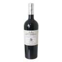 【中古】古酒 Dragani Selva de' Canonici Montepulciano d'Abruzzo 2009 ドラガーニ セルヴァ デ カノニチ...