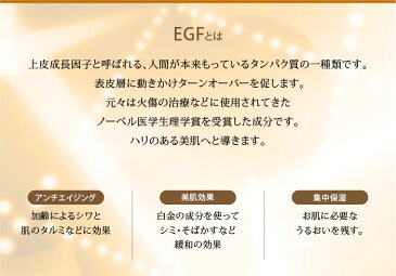 「EGF.sクリーム」肌に贅沢なうるおいを与える集中保湿クリーム。キメを整え、うるおいに満ちた肌に。