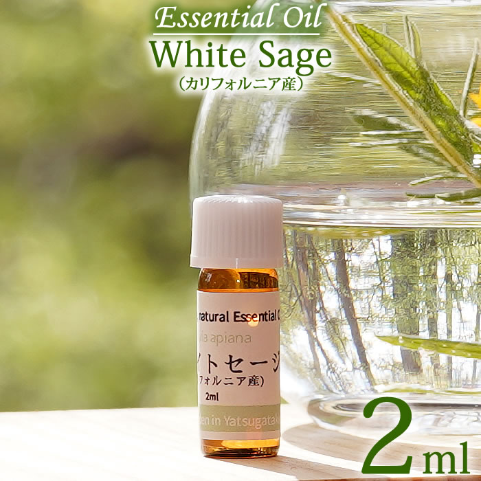 ホワイトセージ カリフォルニア産 2ml エッセンシャルオイル 精油 無農薬 無添加 オーガニック White sage Essential Oil Salvia apiana