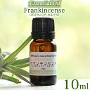 ڥƥ 10mlۥե󥭥󥻥 ܥꥢƥ 10ml å󥷥륪  ˥å Frankincense Essential Oil Boswellia carterii ˥奦