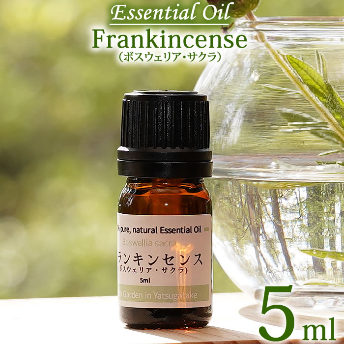 フランキンセンス ボスウェリア・サクラ 5ml エッセンシャルオイル 精油 オーガニック Frankincense Essential Oil Boswellia sacra ニュウコウ