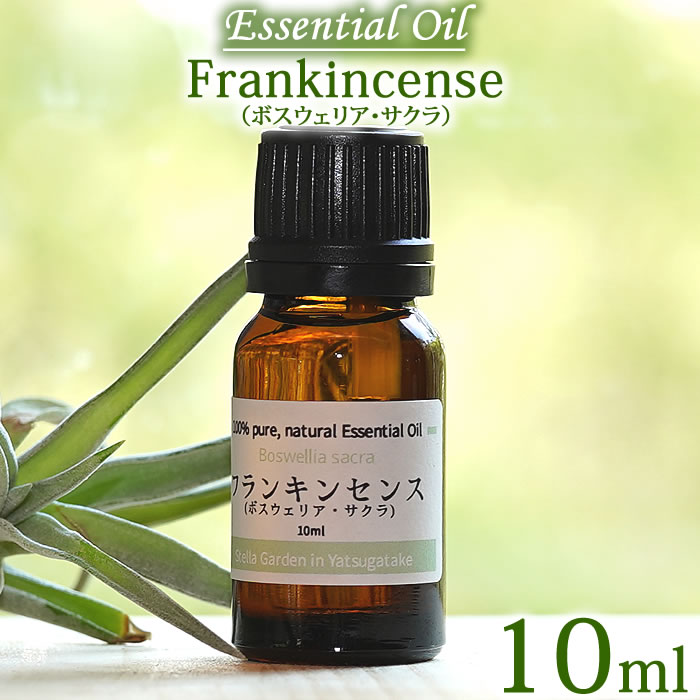 フランキンセンス ボスウェリア・サクラ 10ml エッセンシャルオイル 精油 オーガニック Frankincense Essential Oil Boswellia sacra ニュウコウ