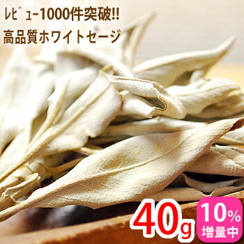 【10％増量中】ホワイトセージ 40g 浄化用 無農薬/高品質 カリフォルニア産 天然石 パワーストーンの浄化に クラスタータイプ