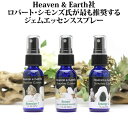 [シモンズ氏推奨の3種]【Heaven & Earth】ジェムエッセンススプレー Gemstone Essences（Ascension-7、Azozeo Super-Activated Azeztulite、Synergy-12）ジェムストーン エッセンス スプレー ヘブンアンドアース ロバート・シモンズ氏推奨の3種 アゼツライト