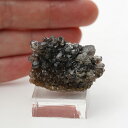 【一点物】【希少】ブラックハーキマーダイヤモンド ニューヨーク産 クラスター 結晶原石 天然石 パワーストーン 白水晶 Herkimer Diamond ドリー...
