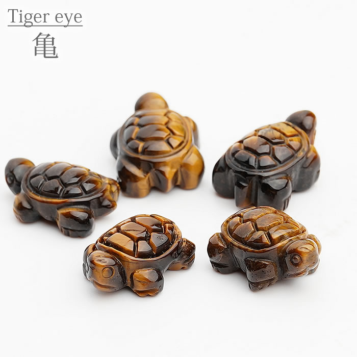 1ġ۵ Turtle   ŷ ƥꥢȡ ѥȡ  ʪ Ɀå ۤ tiger's eye 