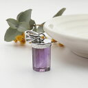 【一点物】【希少】アメトリン ファントム ペンダントトップ ネックレス 天然石 パワーストーン アメジスト シトリン ametrine Silver925
