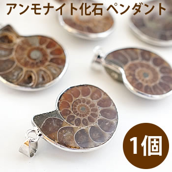 【1個】アンモナイトの化石のペンダント ペンダントトップ ネックレス 天然石 パワーストーン ammonite