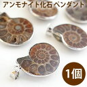 【1個】アンモナイトの化石のペンダント ペンダントトップ ネックレス 天然石 パワーストーン ammonite