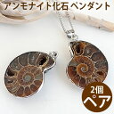 【ペア(2個1組)】アンモナイトの化石のペンダント ペンダントトップ ネックレス 天然石 パワーストーン ammonite