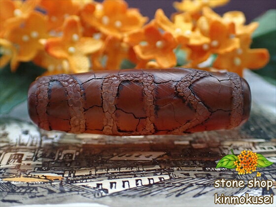 【チベット天珠】 息増懐珠・茶 【一点物】