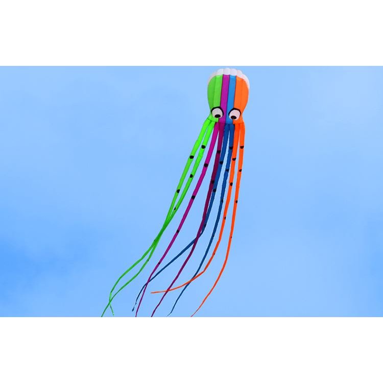 送料無料 凧　凧揚げ　カイト　スポーツトイ　アクショントイ　おもちゃ