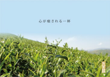 台湾極品蜜香紅茶　180g (阿里山産)　(契約農家より直接仕入れ)