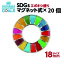 #008 SDGS ピンバッジ 20個入り(18mmサイズ・マグネットタイプ)(エポ盛)