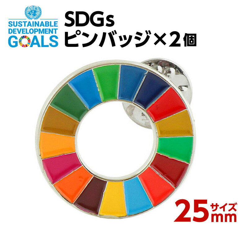 #001 SDGS ピンバッジ 2個入り(25mmサイズ)【追跡可能メール便・送料無料】【宅配便ご指定の場合は差額420円加算します】