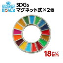 007 SDGS ピンバッジ 2個入り(18mmサイズ マグネットタイプ)【追跡可能メール便 送料無料】【宅配便ご指定の場合は差額420円加算します】