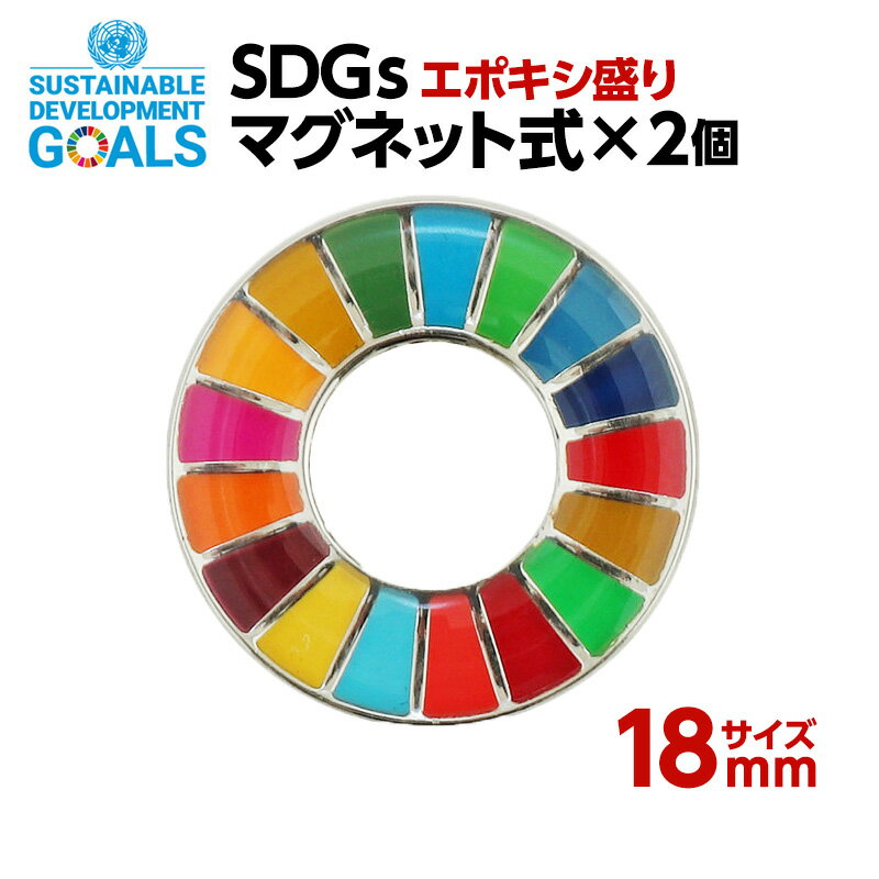 #008 SDGS ピンバッジ 2個入り(18mmサイズ・マグネットタイプ)(エポ盛)【追跡可能メール便・送料無料】【宅配便ご指…