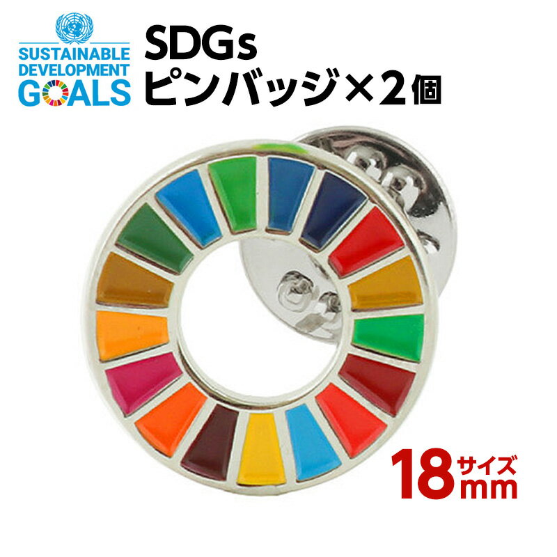 #005 SDGS ピンバッジ 2個入り(18mm ミニサイズ)【追跡可能メール便・送料無料】【宅配便ご指定の場合は差額420円加算します】