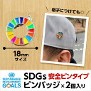 #006 SDGS ピンバッジ 2個入り(18mmサイズ)(安全ピンタイプ)【追跡可能メール便・送料無料】【宅配便ご指定の場合は差額420円加算します】 2