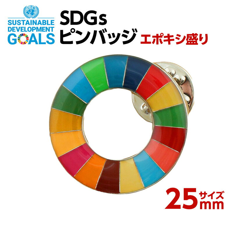 #002 SDGS ピンバッジ 1個入り 25mmサイズ エポ盛 【追跡可能メール便・送料無料】【宅配便ご指定の場合は差額420円加算します】