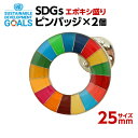#002 SDGS ピンバッジ 2個入り(25mmサイズ)(エポ盛)【追跡可能メール便・送料無料】【宅配便ご指定の場合は差額420円加算します】