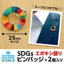 #002 SDGS ピンバッジ 2個入り(25mmサイズ)(エポ盛)【追跡可能メール便・送料無料】【宅配便ご指定の場合は差額420円加算します】 2