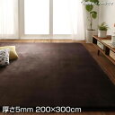 はっ水ラグ マイクロファイバー 厚さ5mm 200×300cm 長方形 大きめ大きい ラグ ラグマット ラグカーペット カーペット 絨毯 じゅうたん 撥水加工 手洗い ホットカーペット 床暖房対応 こたつ敷き布団 コタツ敷き布団 フランネル生地 コンパクト 清潔 防音 衝撃吸収