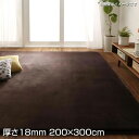 はっ水ラグ マイクロファイバー 厚さ18mm 200×300cm 長方形 大きめ 大きい ラグ ラグマット ラグカーペット カーペット 絨毯 敷物 じゅうたん 撥水加工 手洗い ホットカーペット 床暖房対応 オールシーズン こたつ敷き布団 ボリューム ふっくら 防音効果 フランネル生地