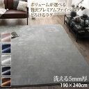 プレミアムファイバーラグ 洗える5mm厚ウレタン入りタイプ 190×240cm 長方形 約3畳 ラグ ラグマット ラグカーペット カーペット 絨毯 敷物 ホットカーペット対応 床暖房対応 リビング 子供部屋 センターラグ マイクロファイバー 静電気防止 滑り止め付き こたつ敷き布団